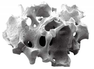 faqs_bild1-400x292