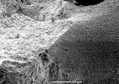faqs_bild2-400x284