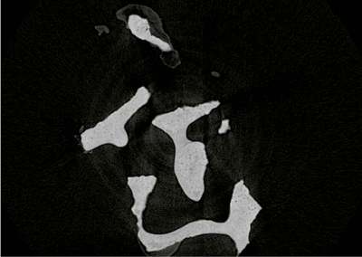 faqs_bild3-400x284